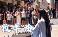 Teochew Opera-广东省百花潮剧院《洛神》复排版