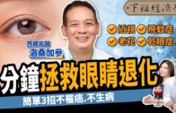 Teochew Opera-广东省百花潮剧院《洛神》复排版