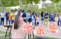 Teochew Opera-广东省百花潮剧院《洛神》复排版