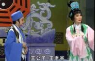 Teochew Opera-广东省百花潮剧院《洛神》复排版