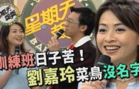 Teochew Opera-广东省百花潮剧院《洛神》复排版