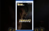 1691306729_maxresdefault.jpg